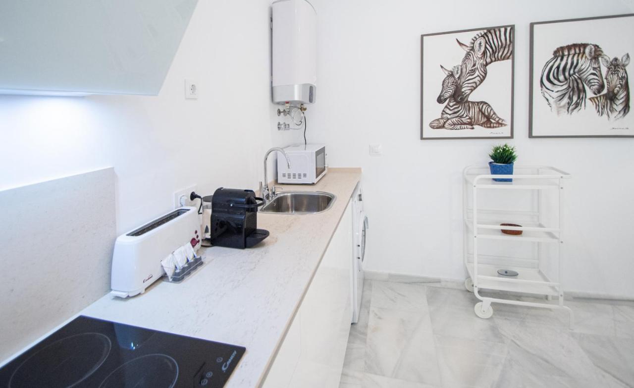 קדיז Apartamento Animalia מראה חיצוני תמונה