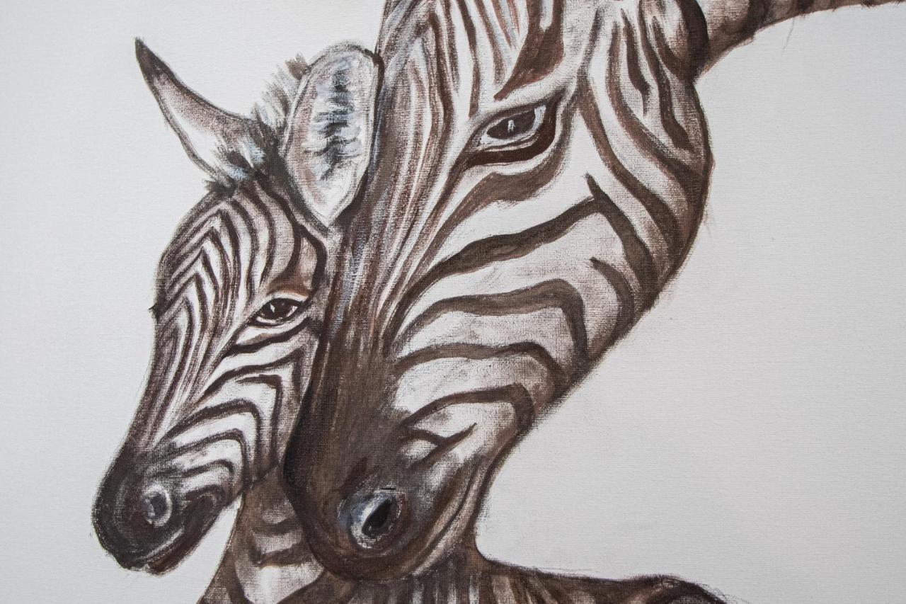 קדיז Apartamento Animalia מראה חיצוני תמונה